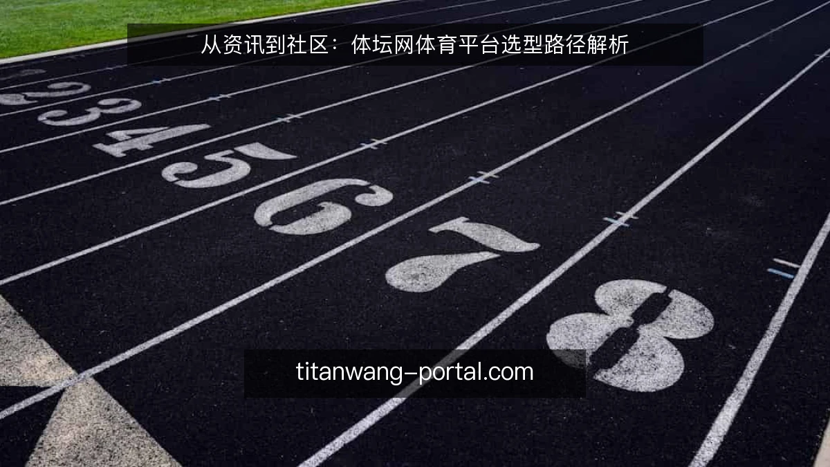 从资讯到社区：体坛网体育平台选型路径解析