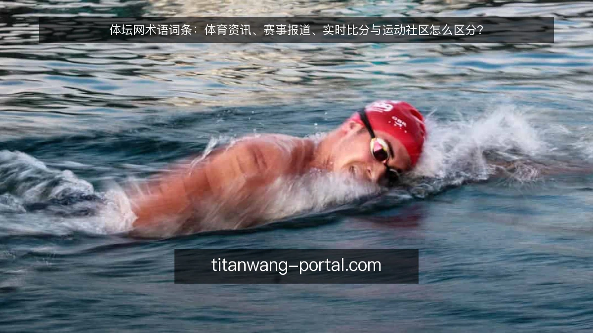 体坛网术语词条:体育资讯、赛事报道、实时比分与运动社区怎么区分?