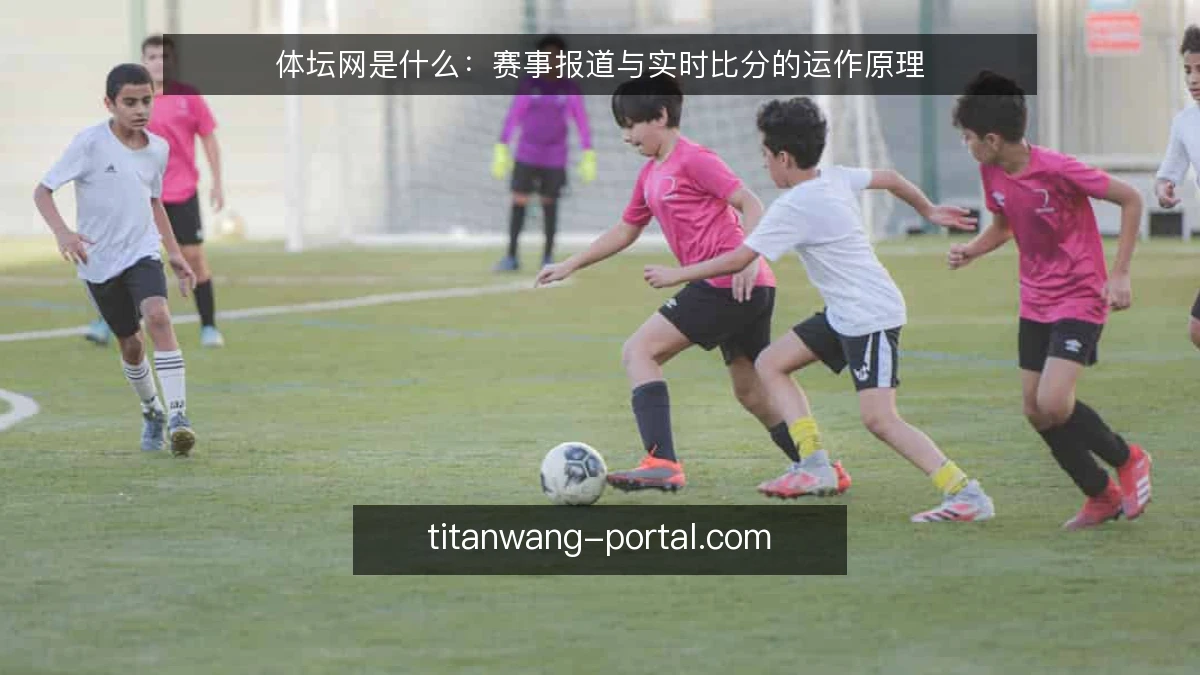 体坛网是什么：赛事报道与实时比分的运作原理