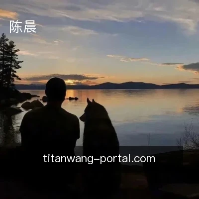 陈晨